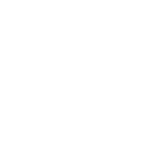 Afro Nation