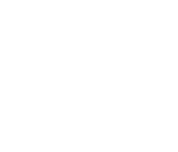 Pires Ibiza